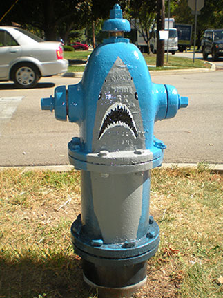 Madison and Ardmore - Jaws! (2)